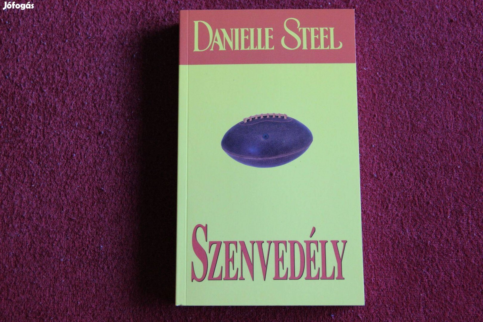 Danielle Steel: Szenvedély