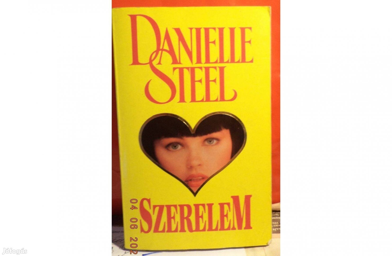 Danielle Steel Szerelem