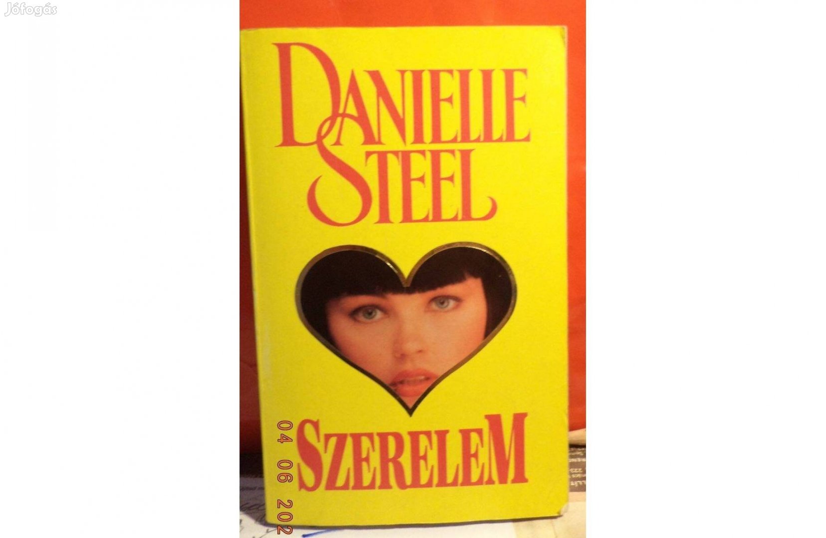 Danielle Steel: Szerelem