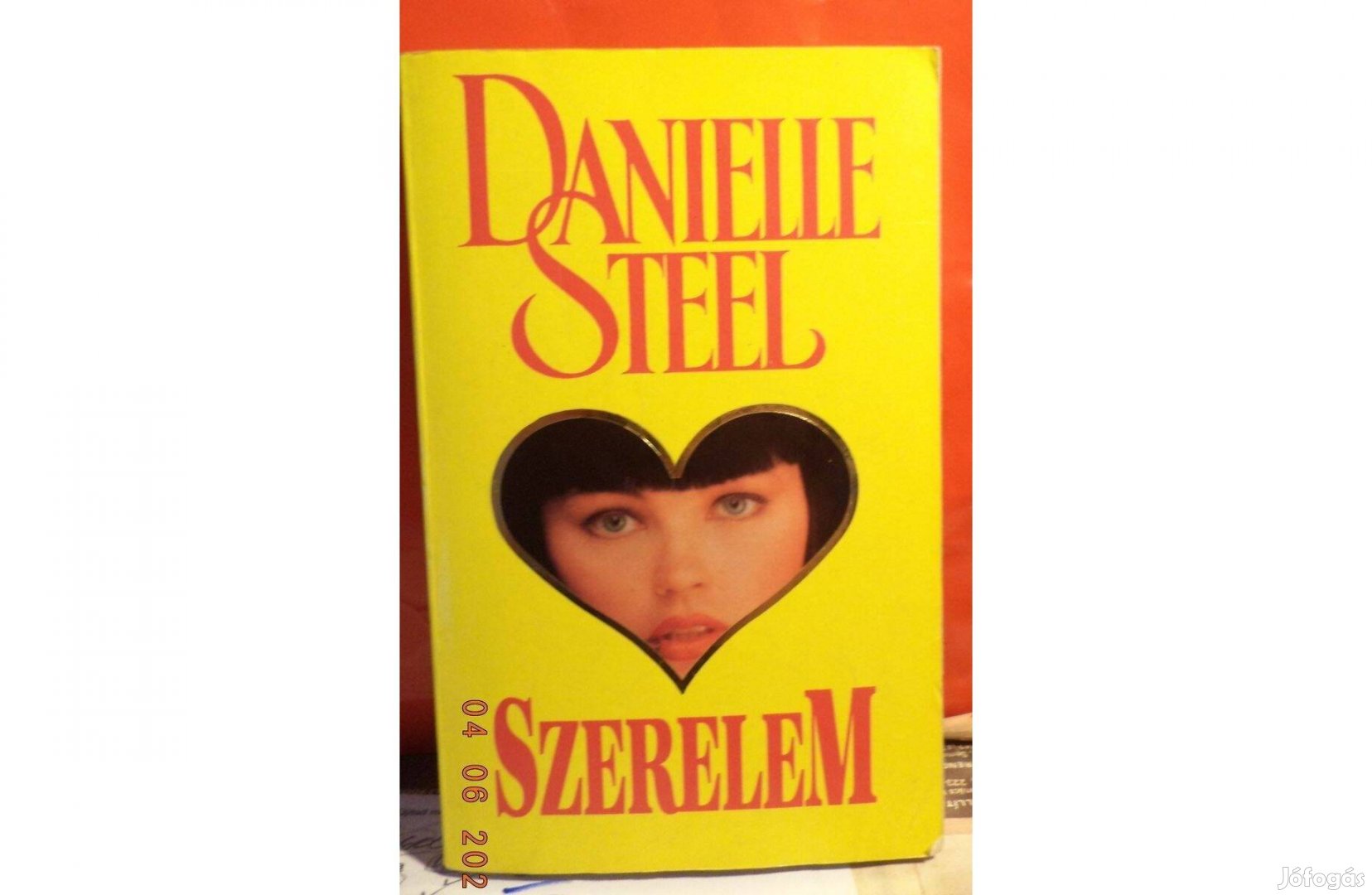 Danielle Steel: Szerelem