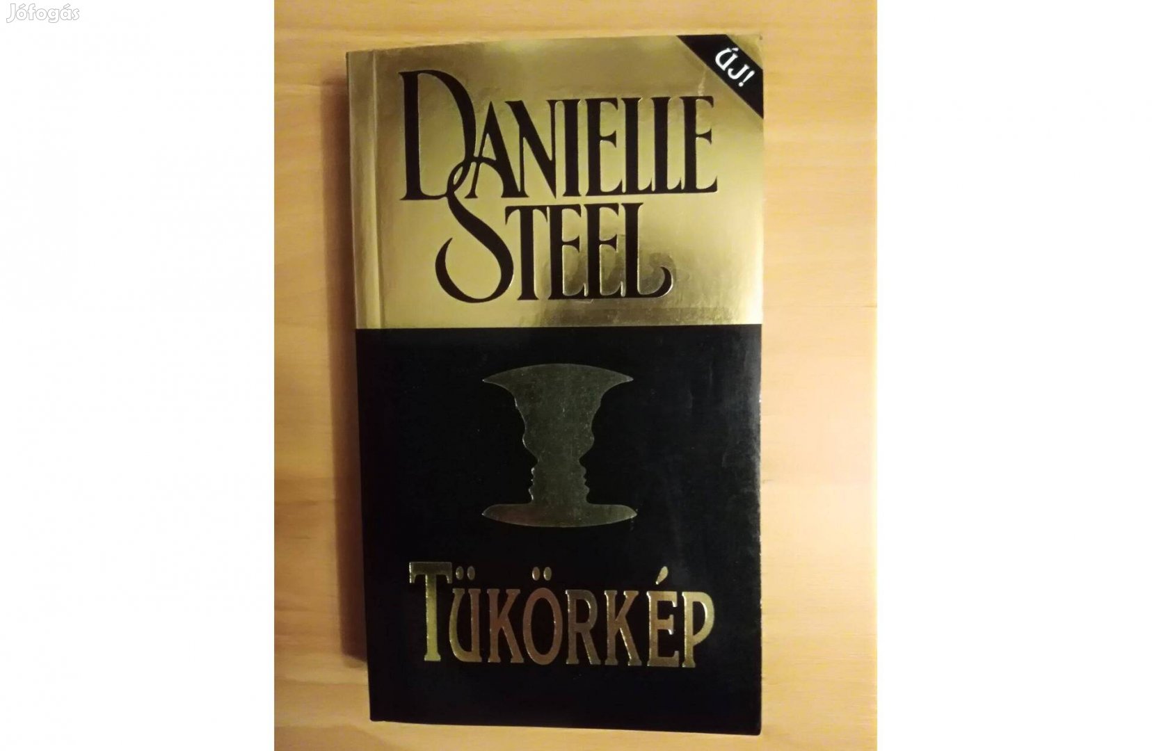 Danielle Steel: Tükörkép