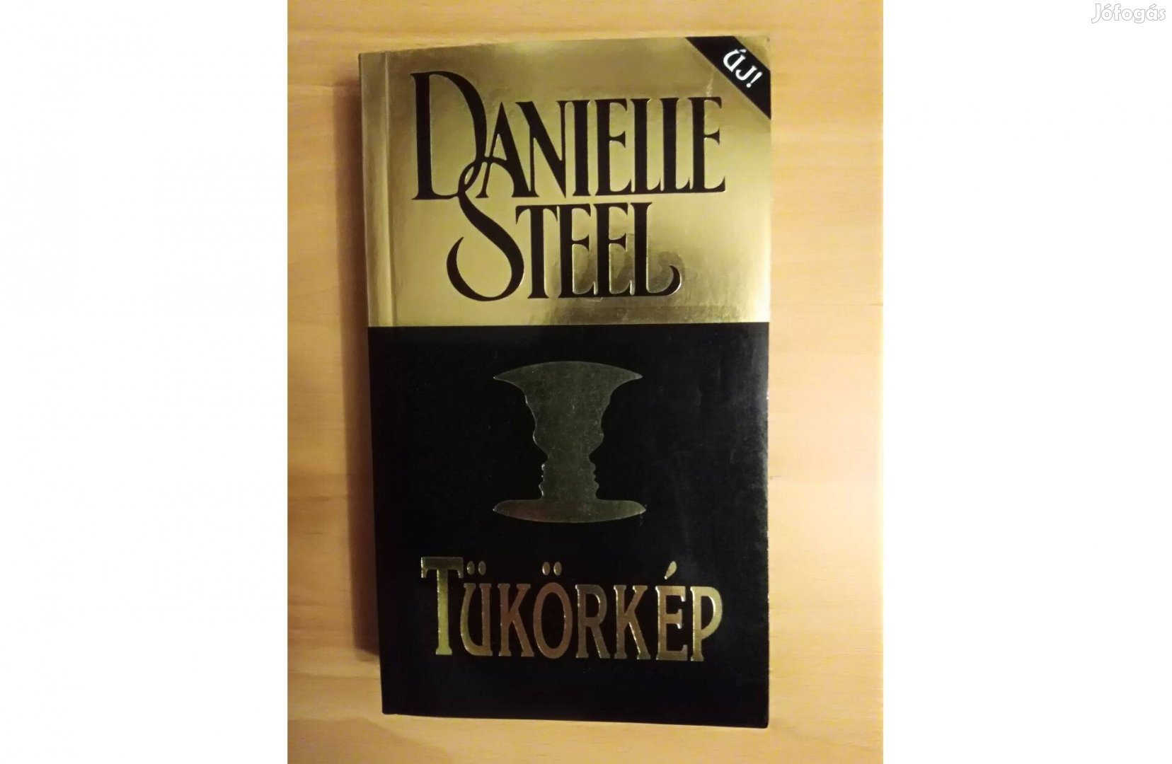 Danielle Steel: Tükörkép