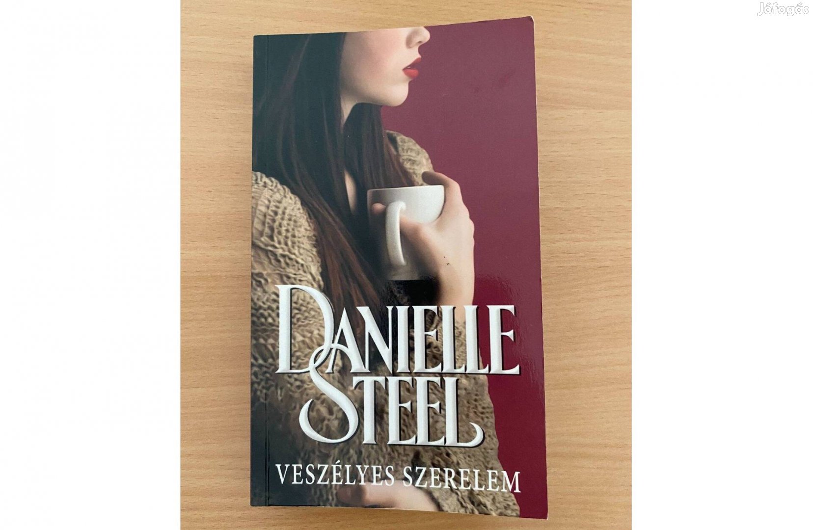 Danielle Steel: Veszélyes szerelem című könyv