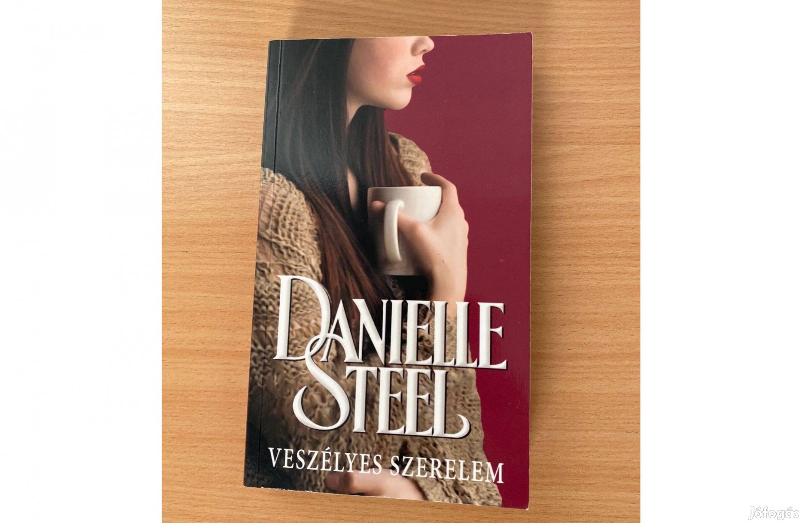 Danielle Steel Veszélyes szerelem című könyv