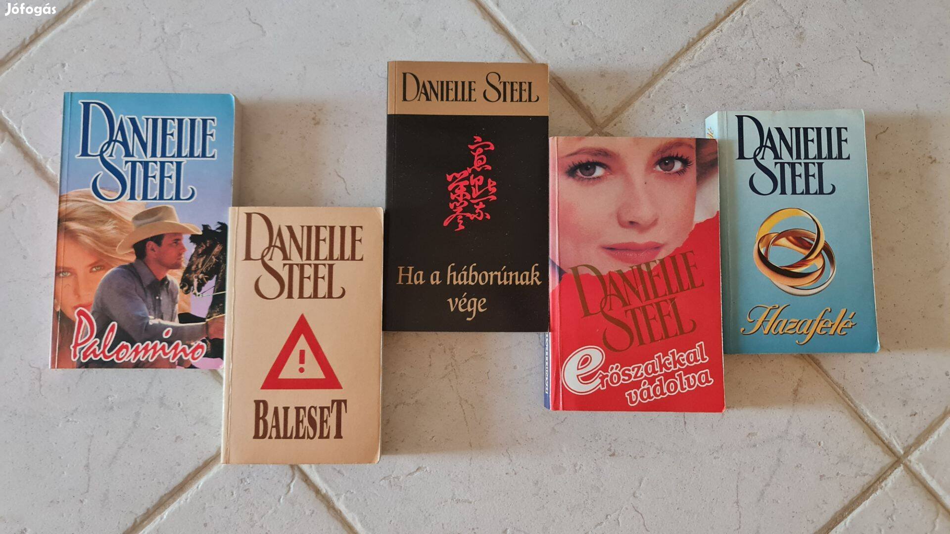 Danielle Steel - 24 regénye együtt