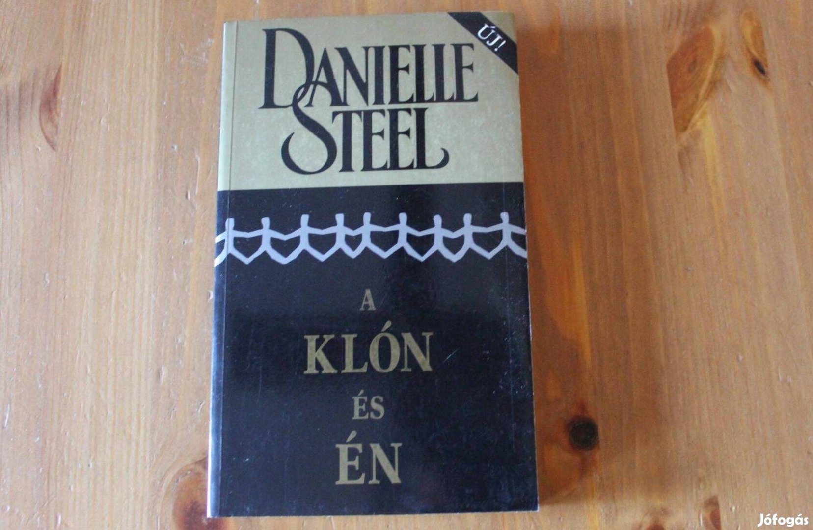 Danielle Steel - A klón és én