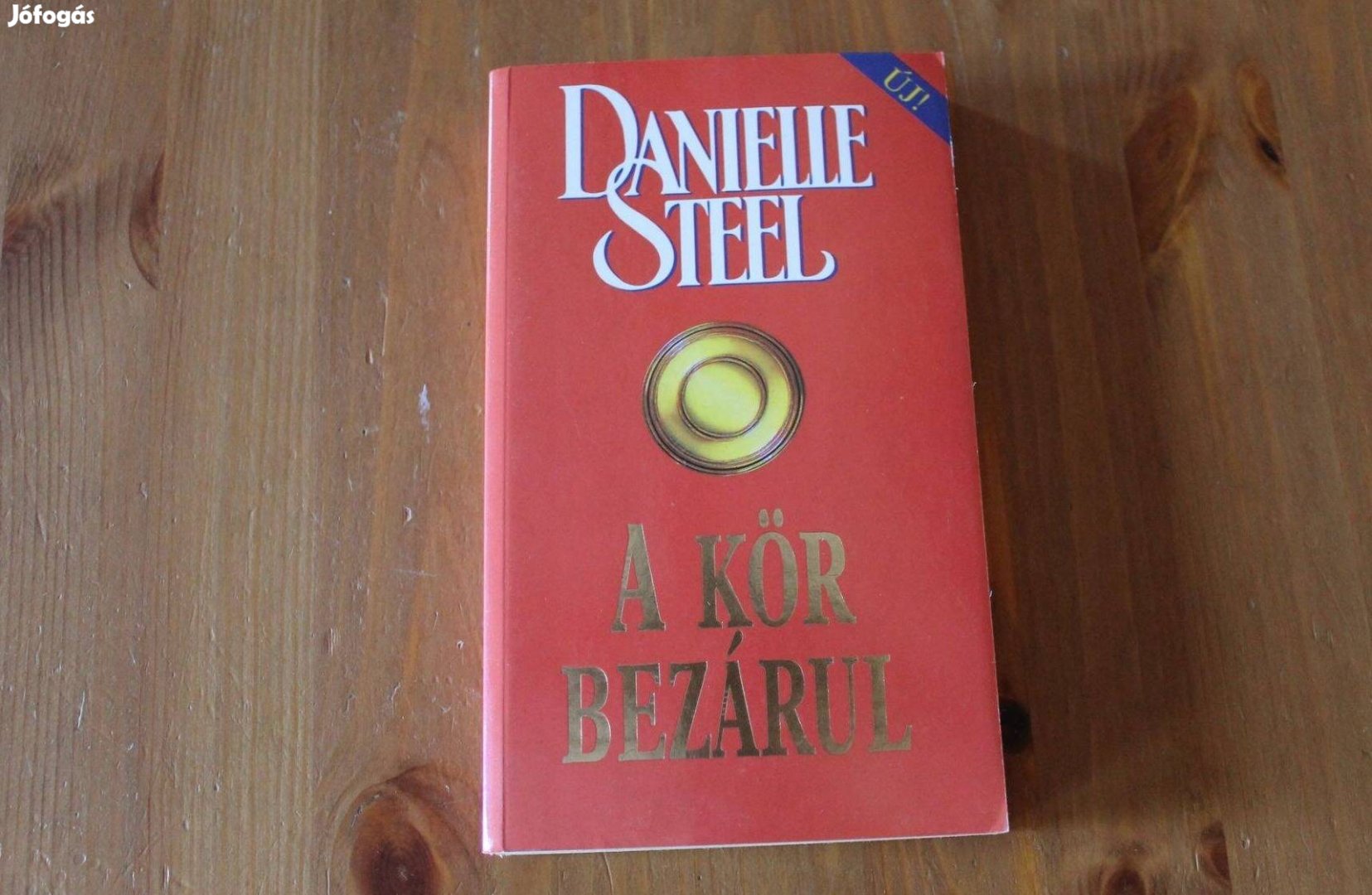 Danielle Steel - A kör bezárul