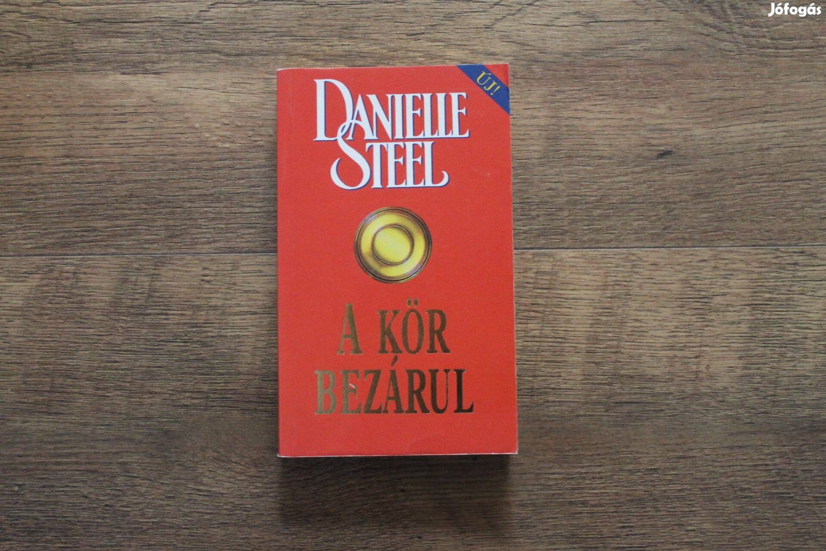Danielle Steel - A kör bezárul