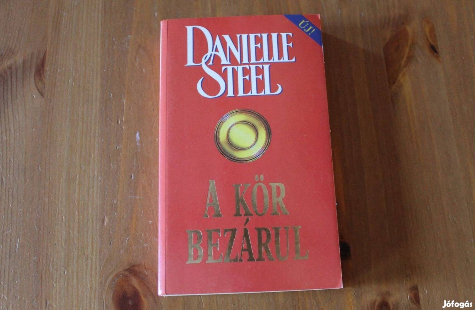 Danielle Steel - A kör bezárul