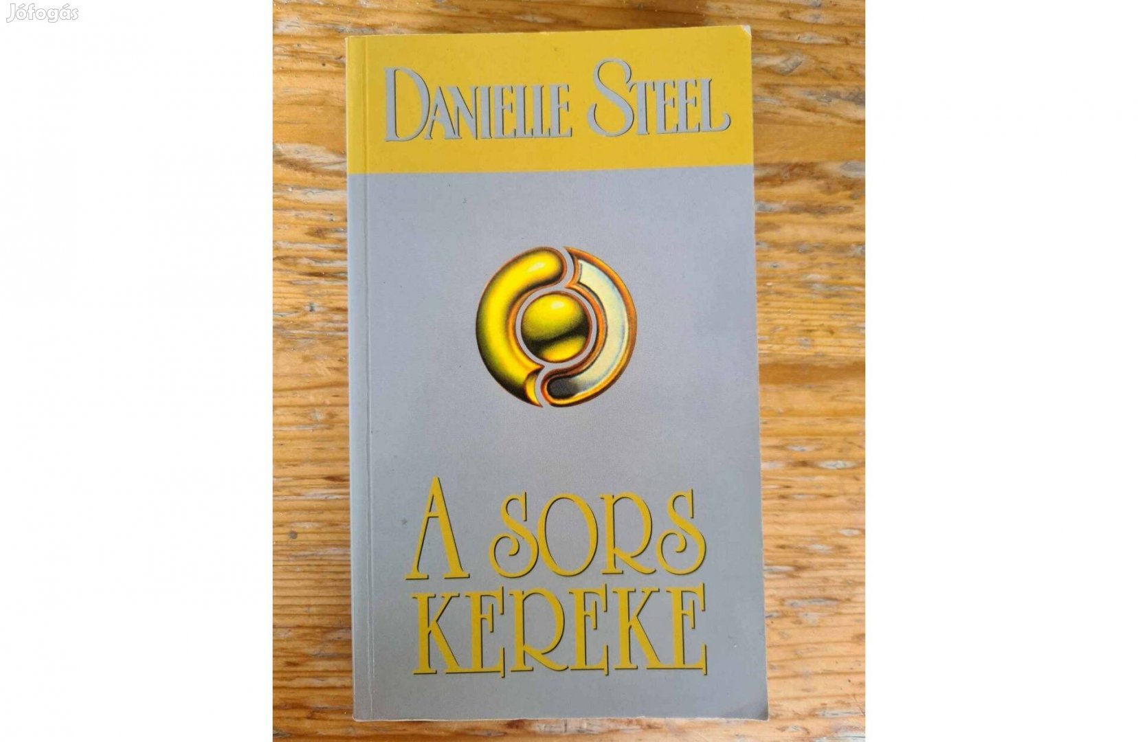 Danielle Steel - A sors kereke