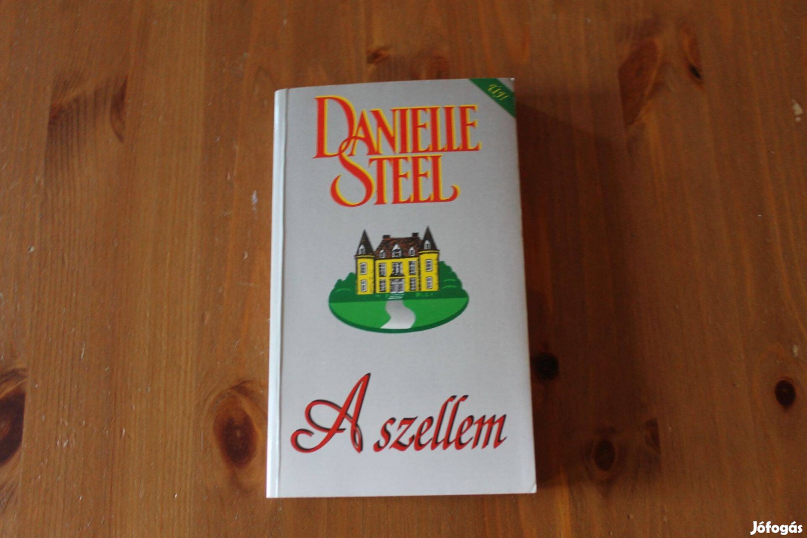 Danielle Steel - A szellem