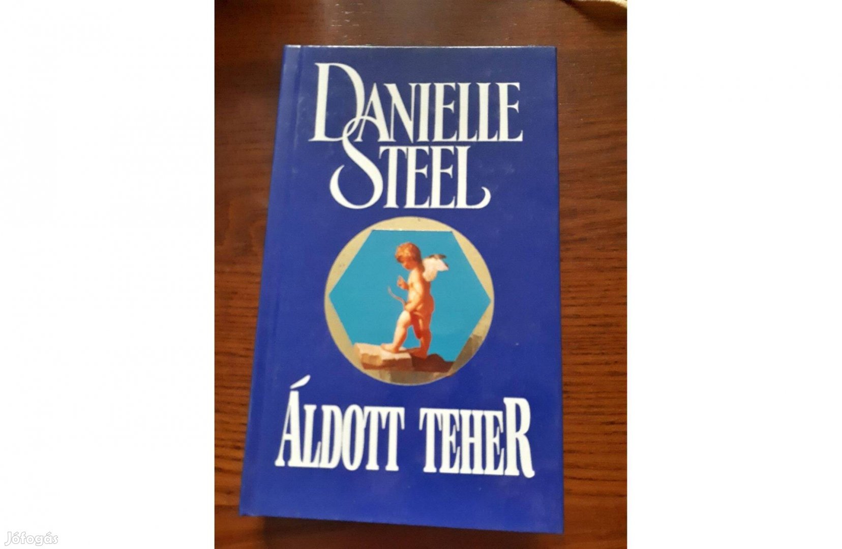 Danielle Steel - Áldott Teher könyv, regény, alig használt