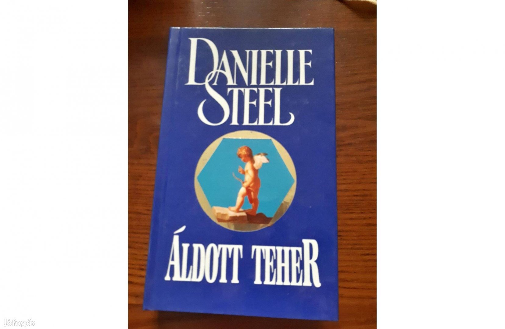 Danielle Steel - Áldott Teher könyv, regény, alig használt