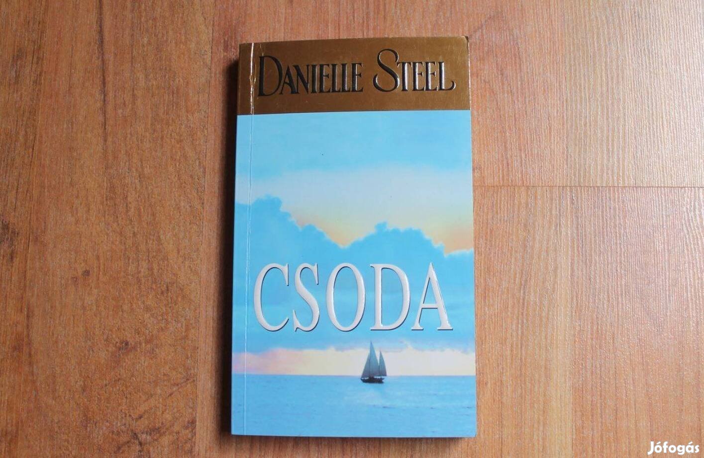 Danielle Steel - Csoda