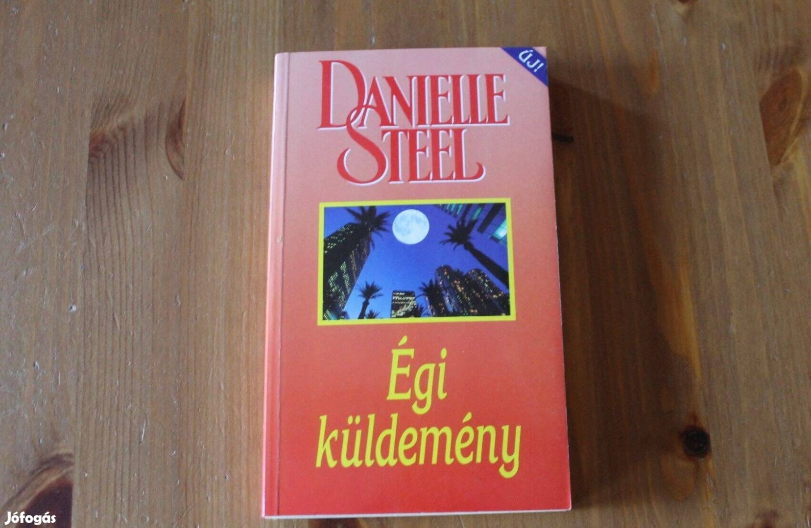 Danielle Steel - Égi küldemény