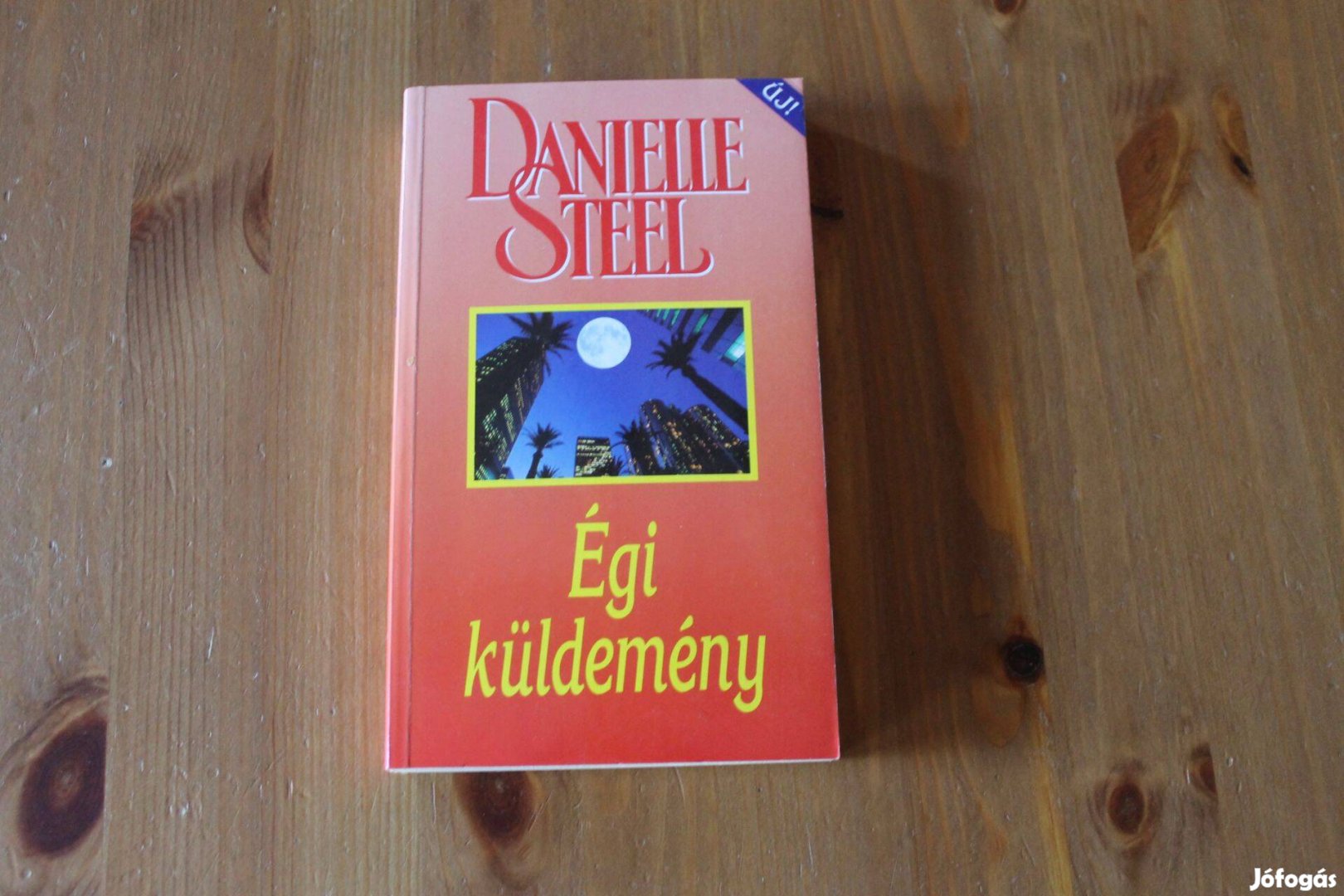 Danielle Steel - Égi küldemény