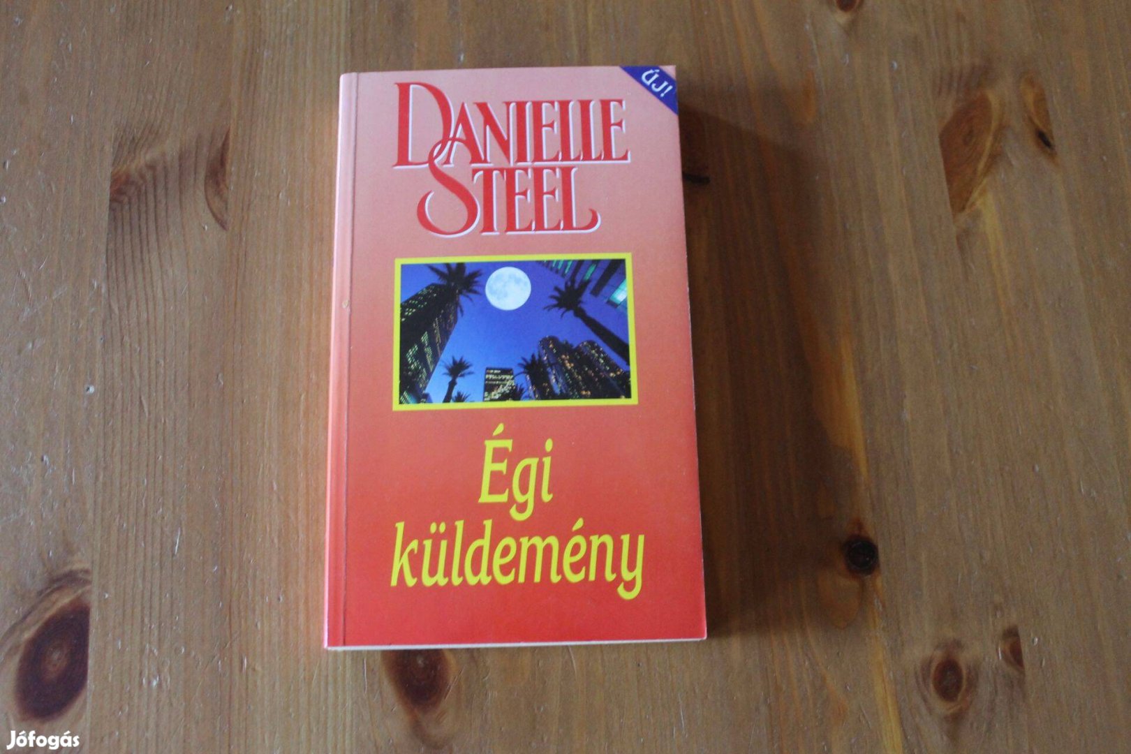 Danielle Steel - Égi küldemény