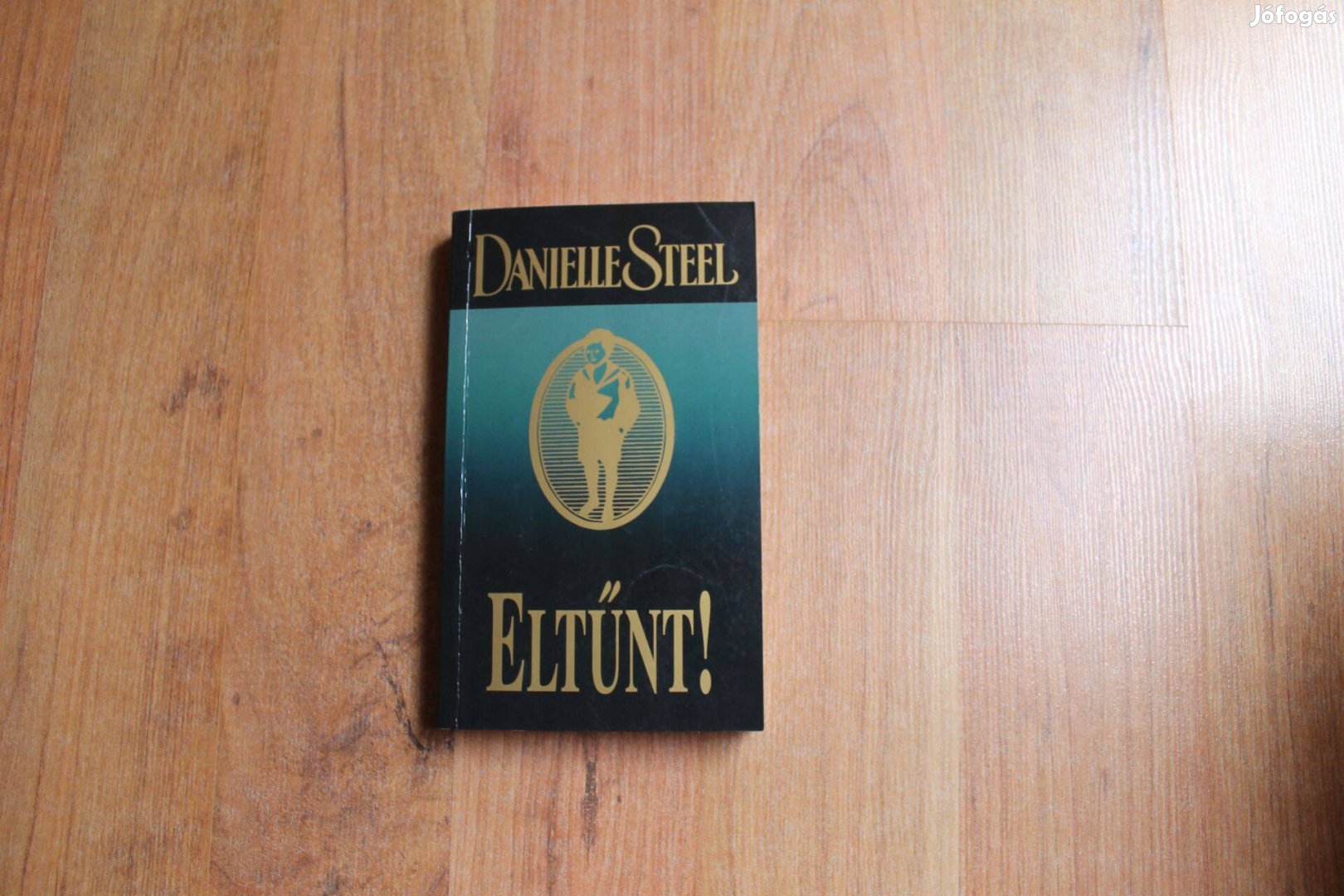 Danielle Steel - Eltűnt !