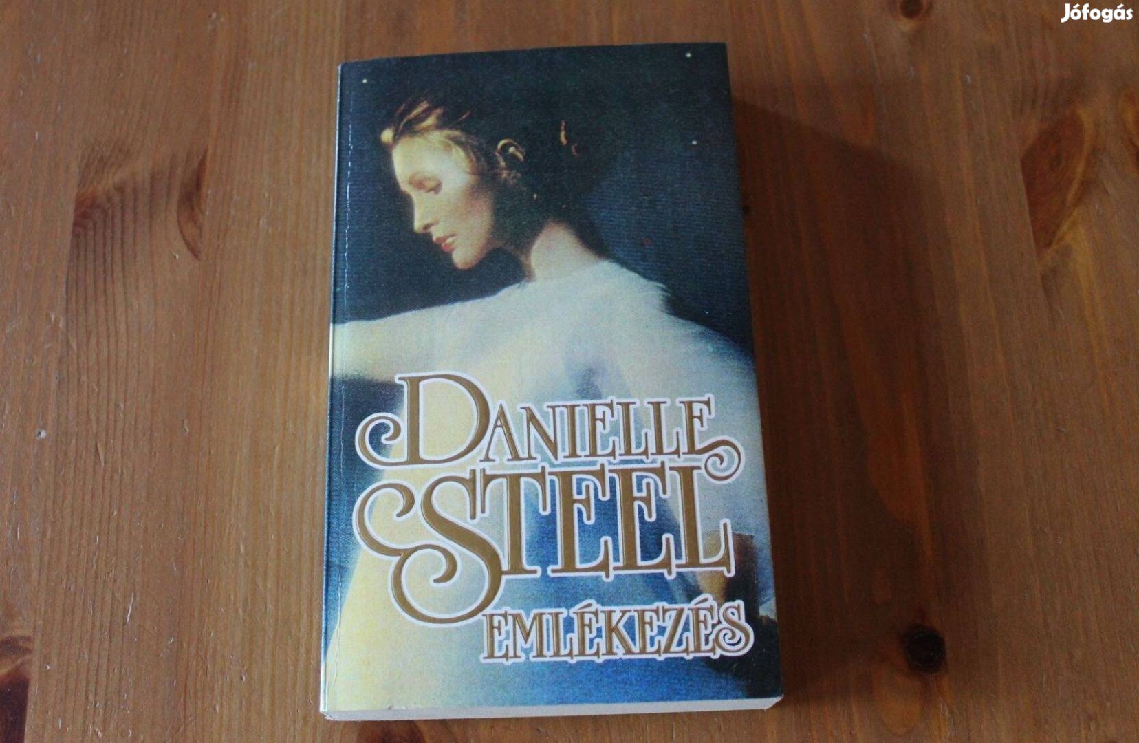 Danielle Steel - Emlékezés
