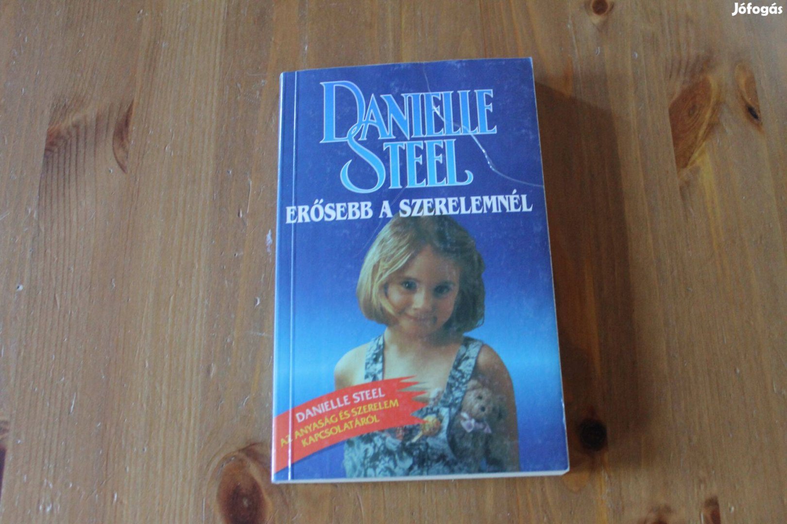 Danielle Steel - Erősebb a szerelemnél