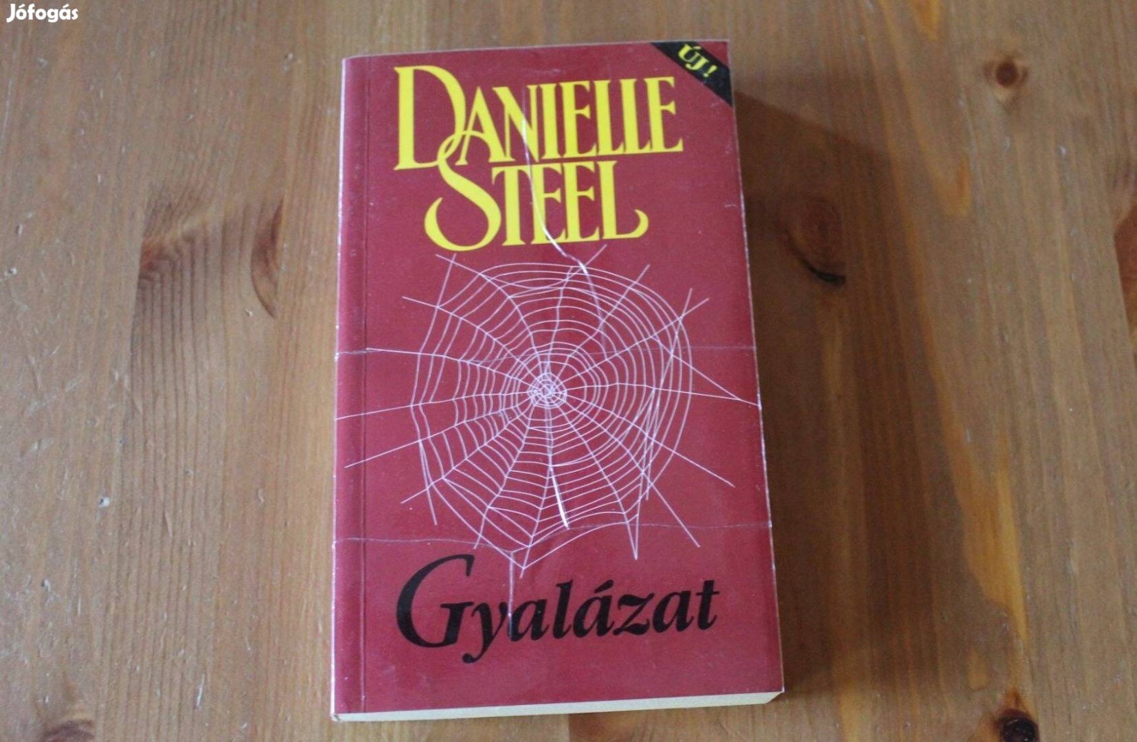 Danielle Steel - Gyalázat