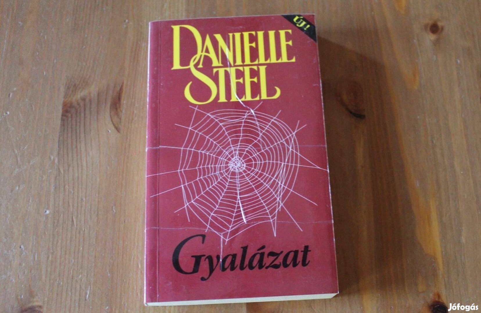Danielle Steel - Gyalázat