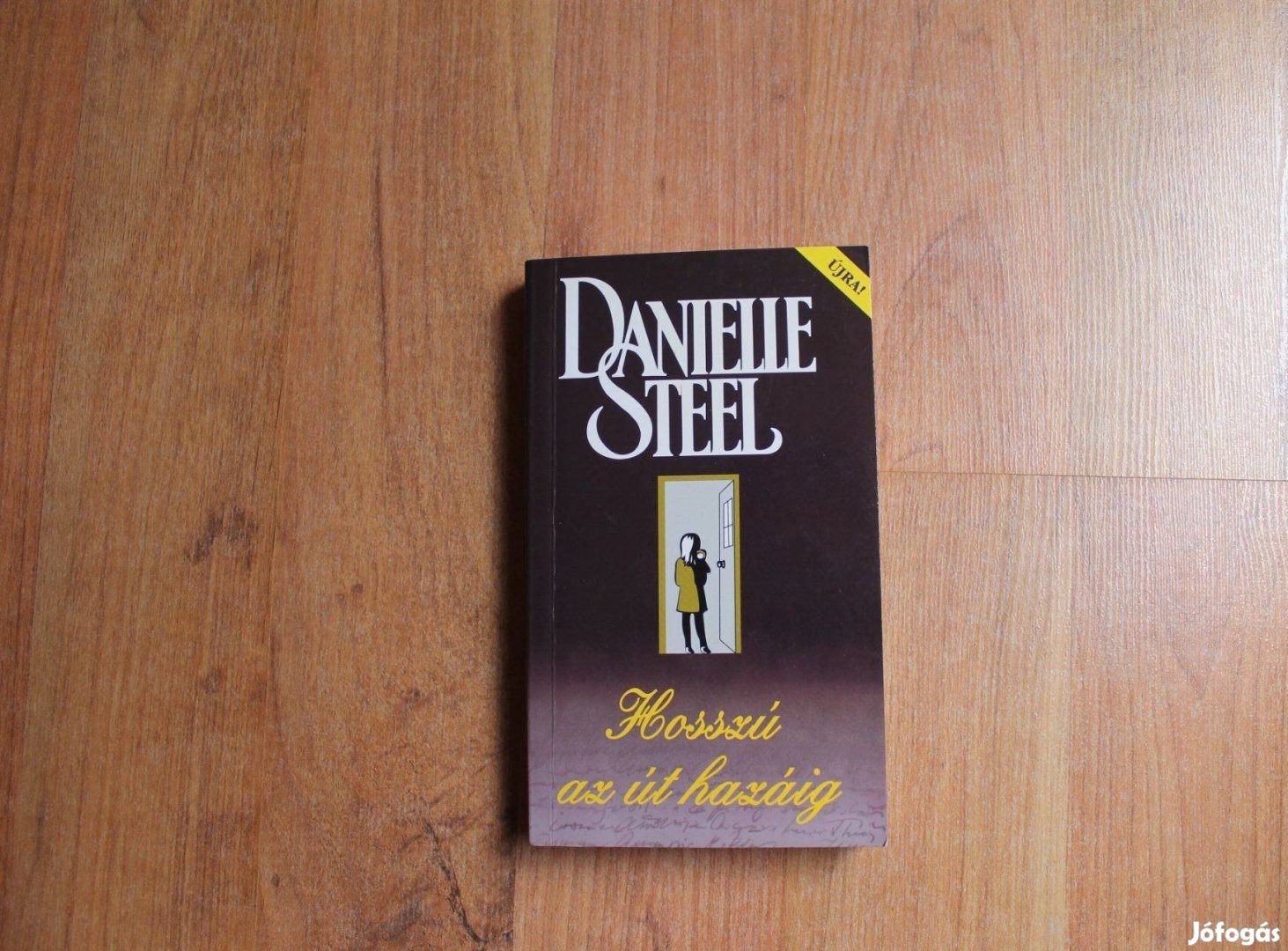 Danielle Steel - Hosszú az út hazáig