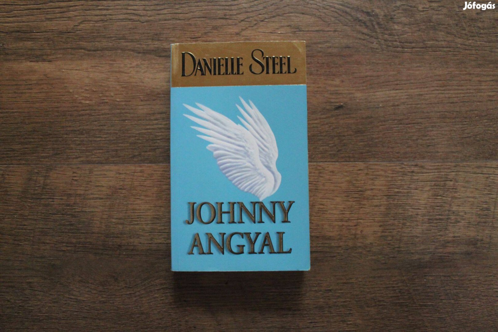 Danielle Steel - Johnny angyal