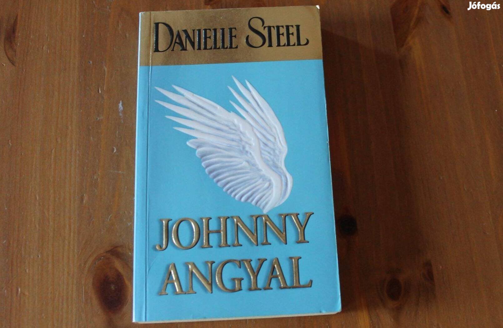 Danielle Steel - Johnny angyal