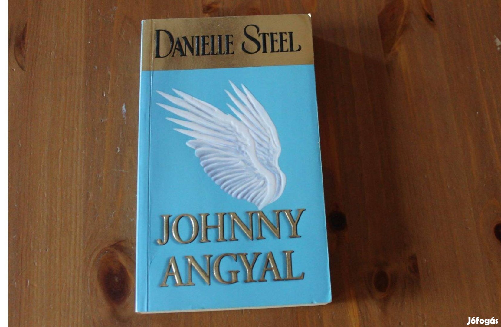 Danielle Steel - Johnny angyal