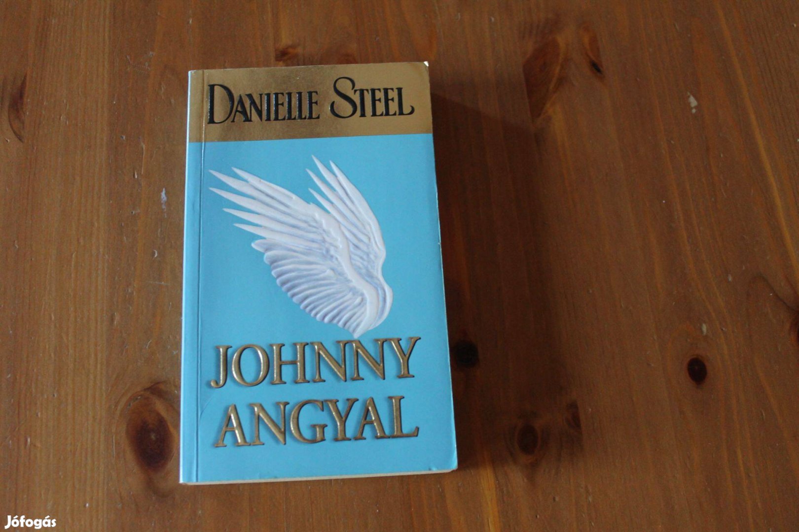 Danielle Steel - Johnny angyal