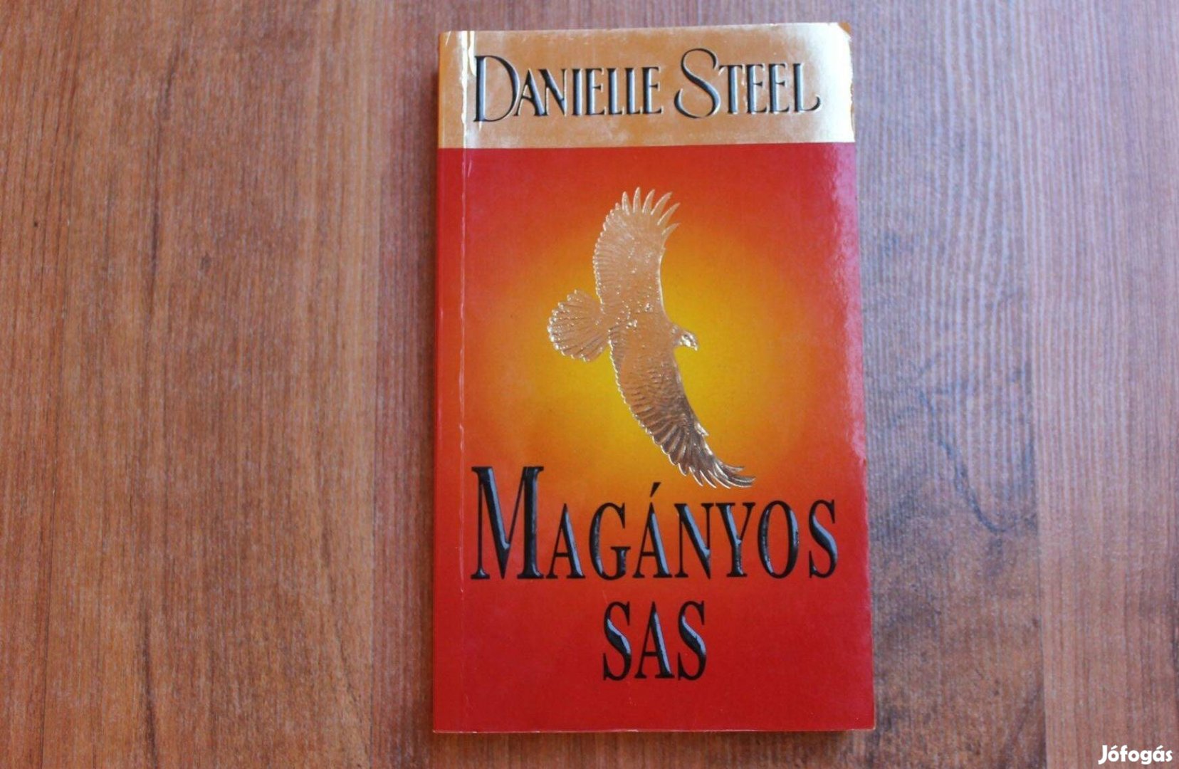 Danielle Steel - Magányos sas