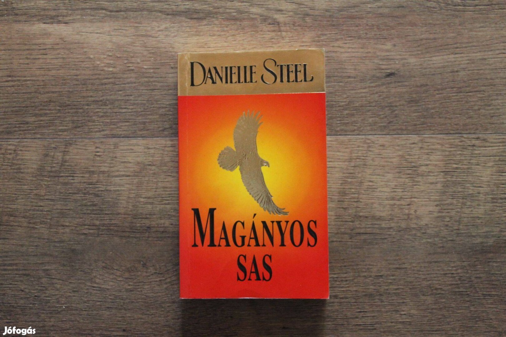 Danielle Steel - Magányos sas