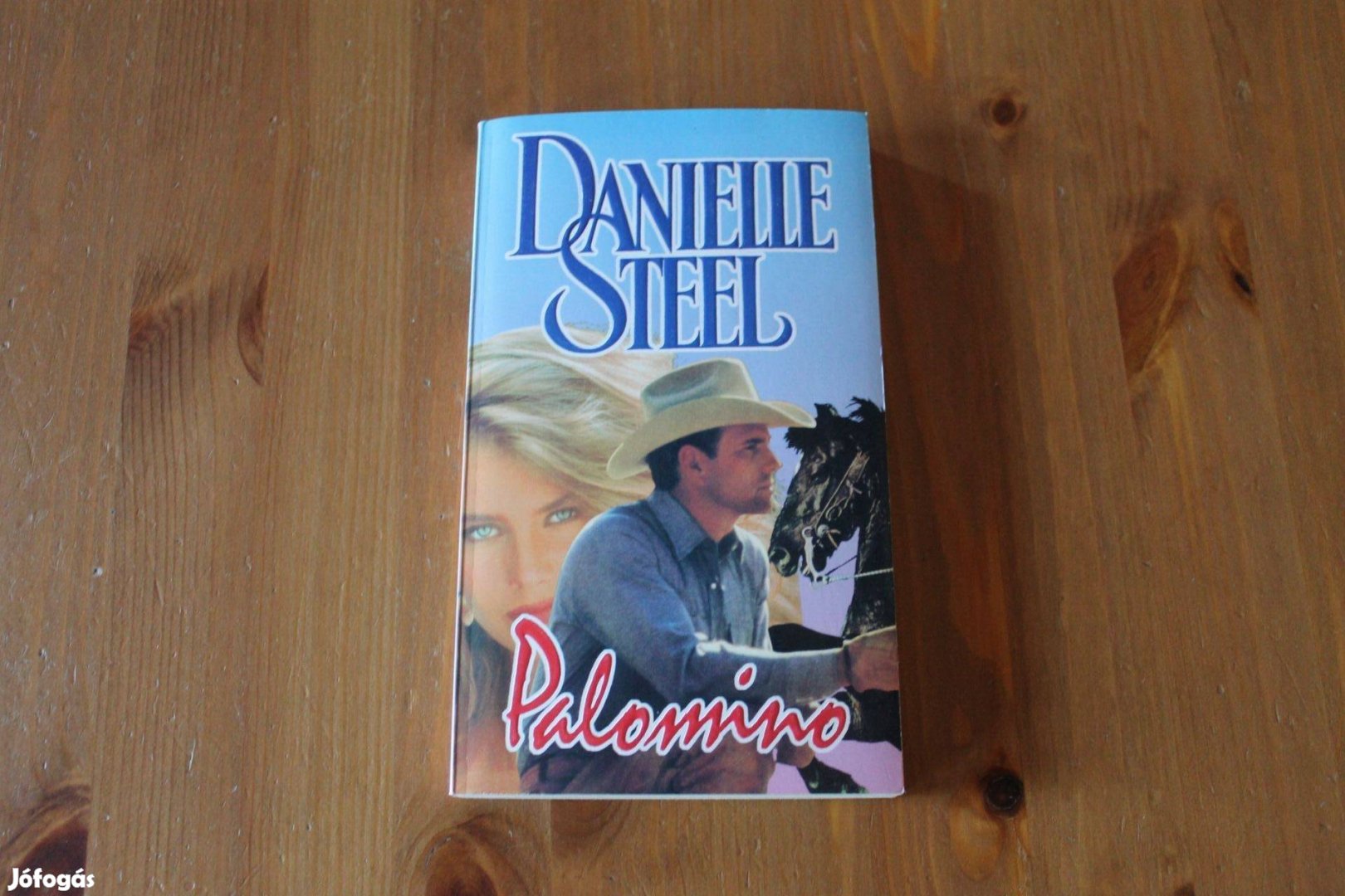 Danielle Steel - Palomino