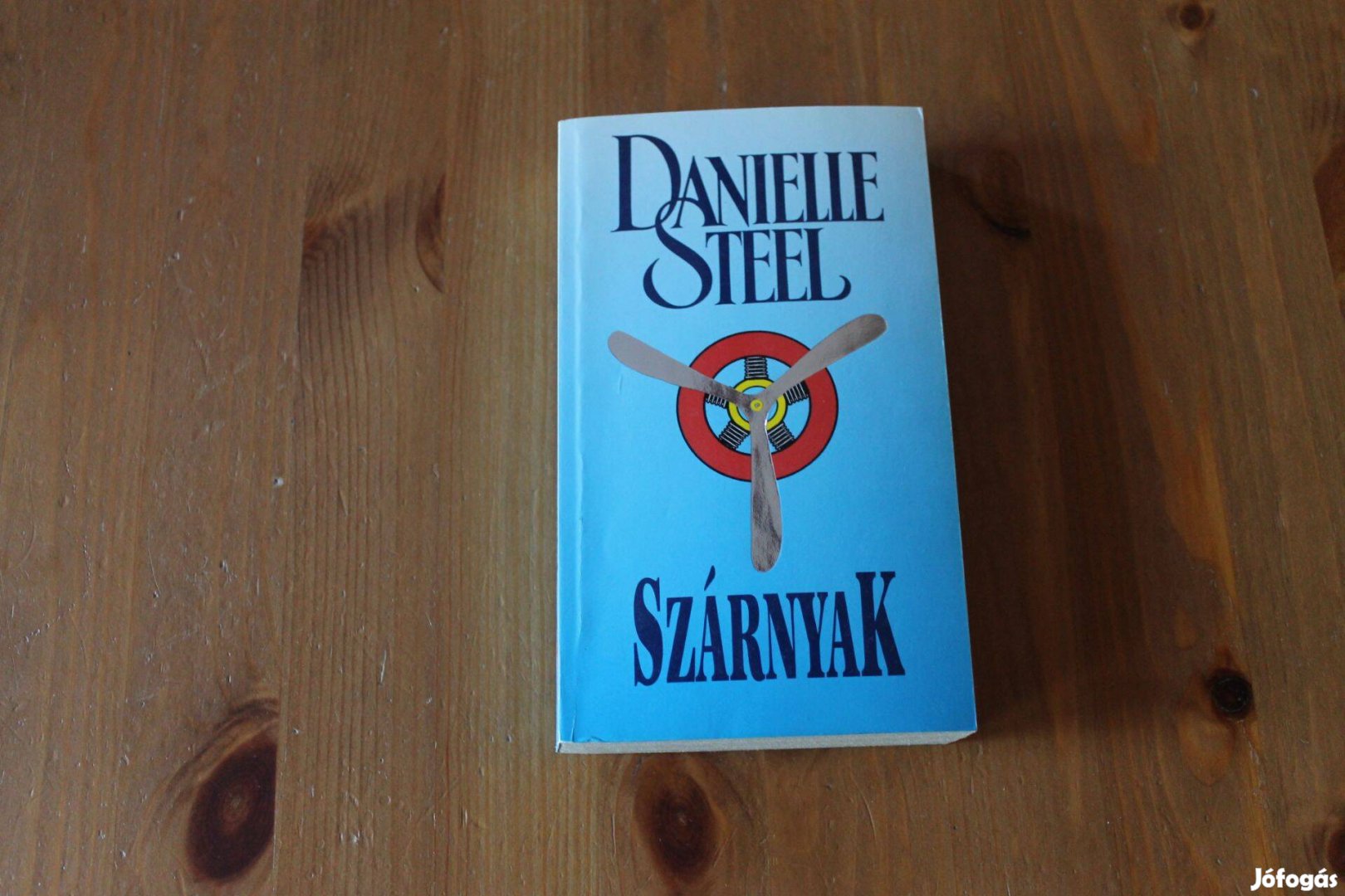 Danielle Steel - Szárnyak