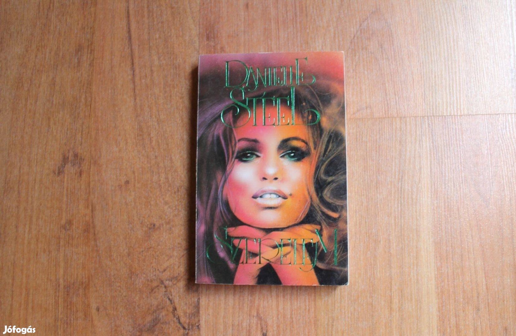 Danielle Steel - Szerelem