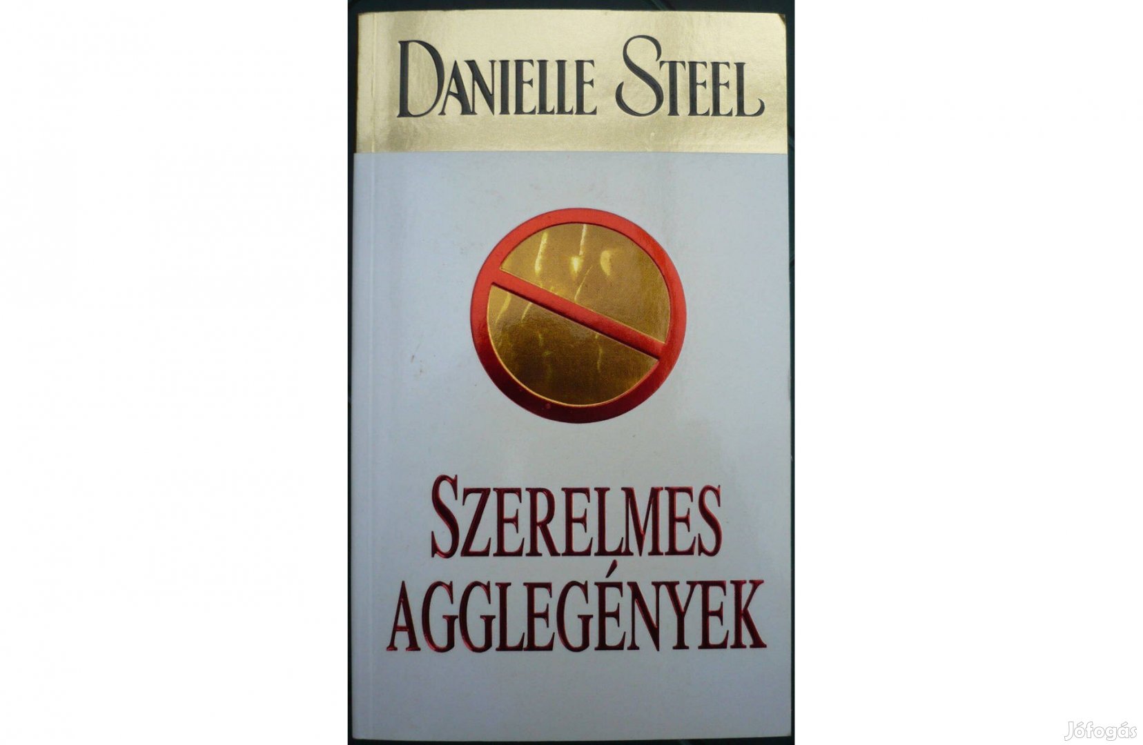 Danielle Steel - Szerelmes agglegények