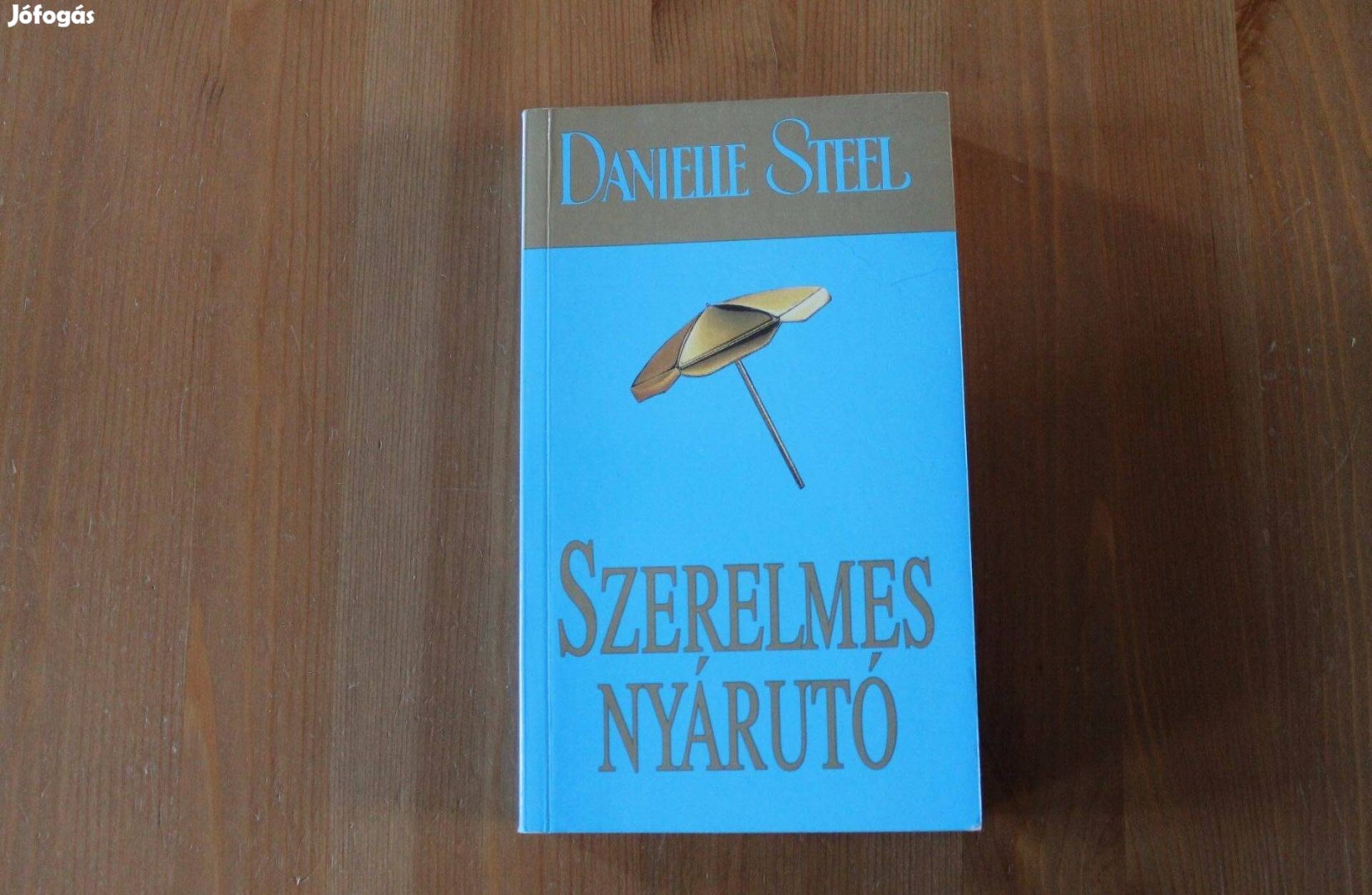 Danielle Steel - Szerelmes nyárutó