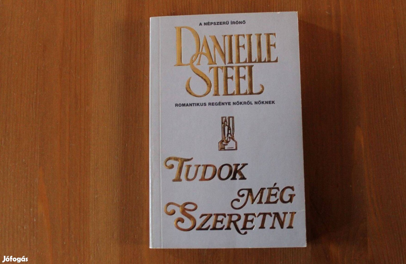 Danielle Steel - Tudok még szeretni