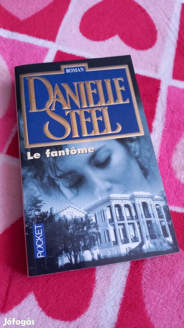 Danielle Steel: le fantome, franciaul