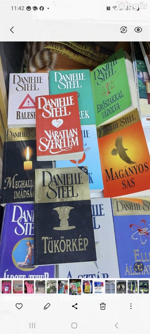 Danielle steel könyvek