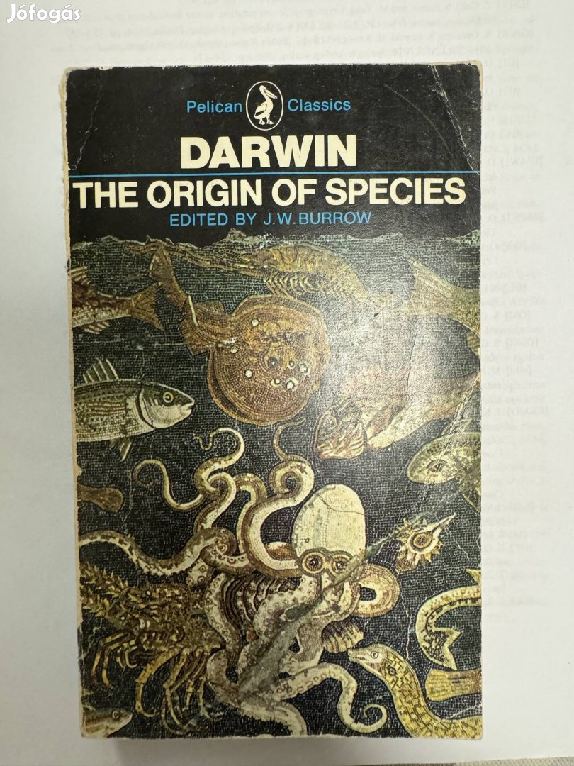 Darwin A fajok eredete angolul