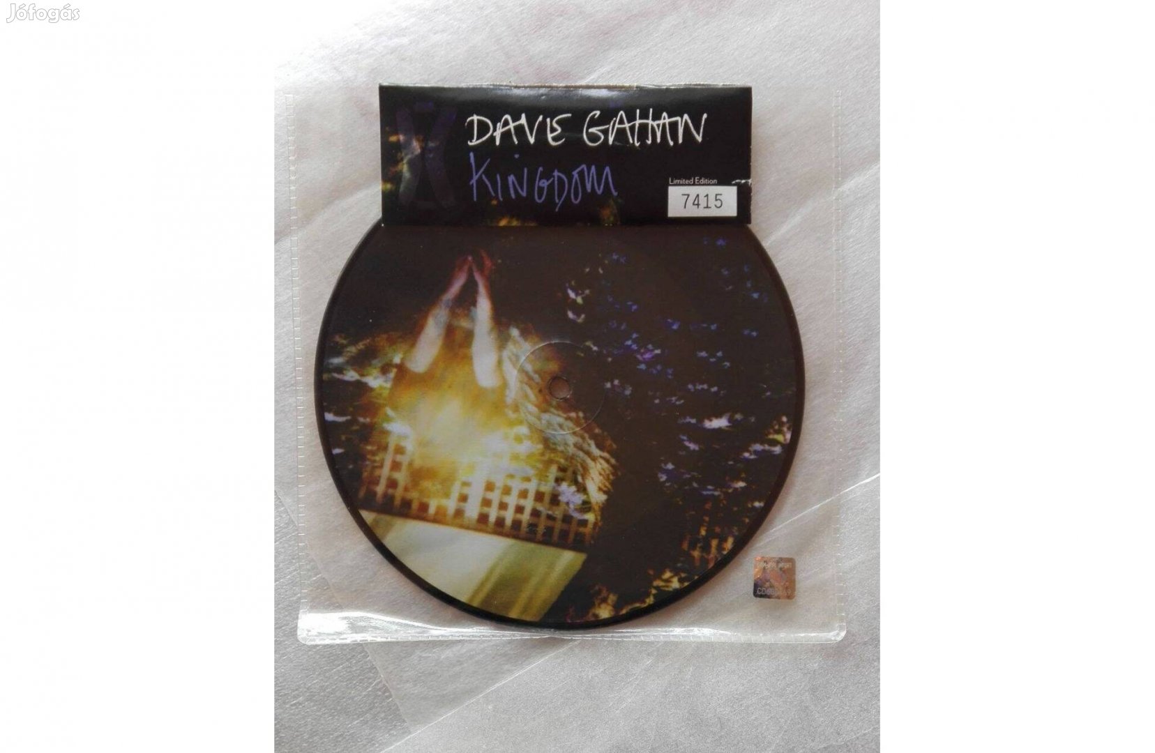 Dave Gahan Kingdom Vinyl, 7", 45 RPM, Single, Limited Edition, Numb