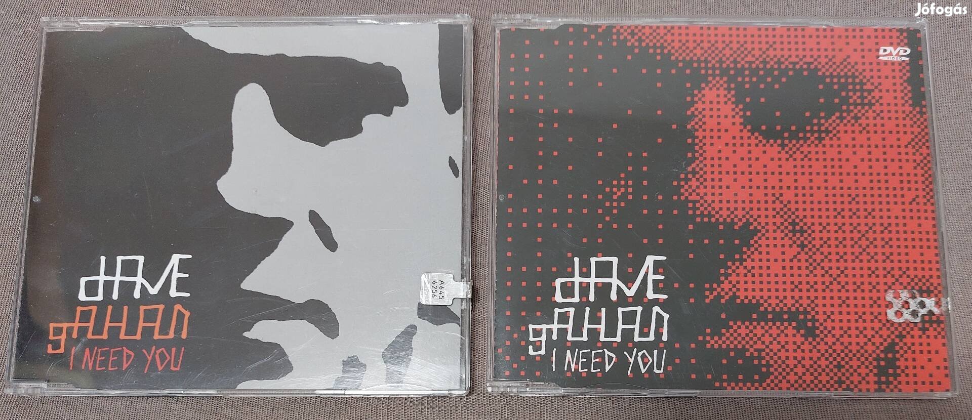 Dave Gahan : I need you lcd-dvd ( Depeche Mode )