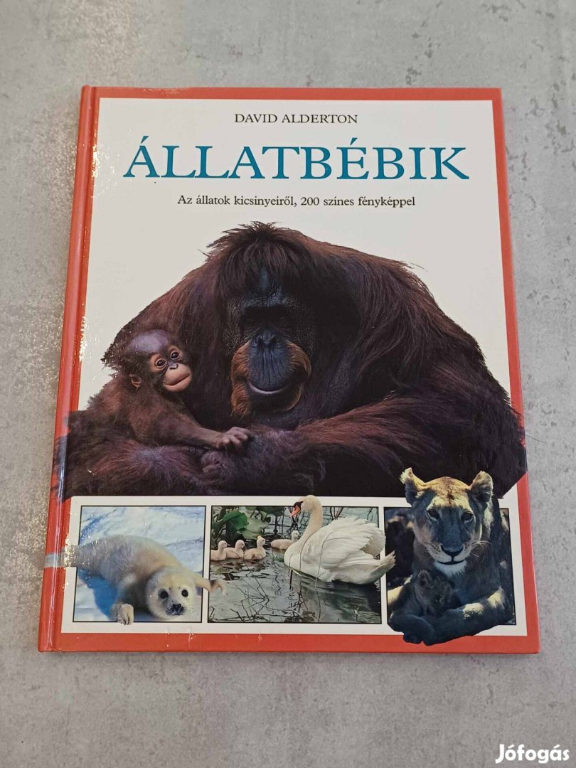 David Alderton: Állatbébik