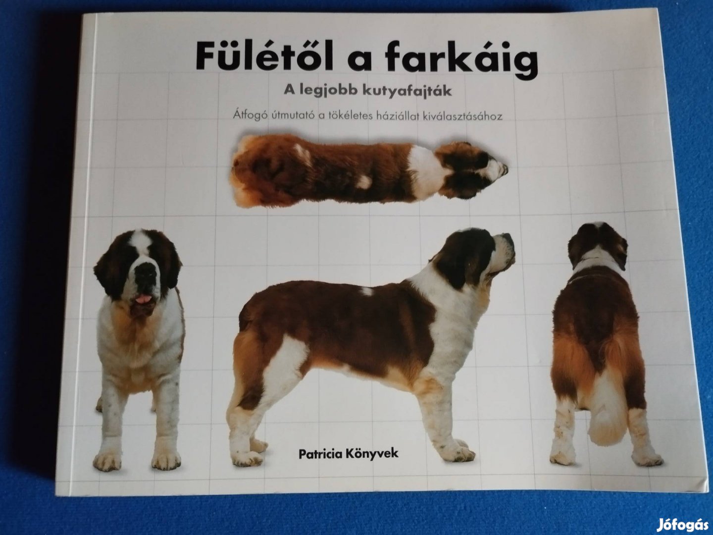 David Alderton: Fülétől a farkáig ( útmutató kutyákhoz)