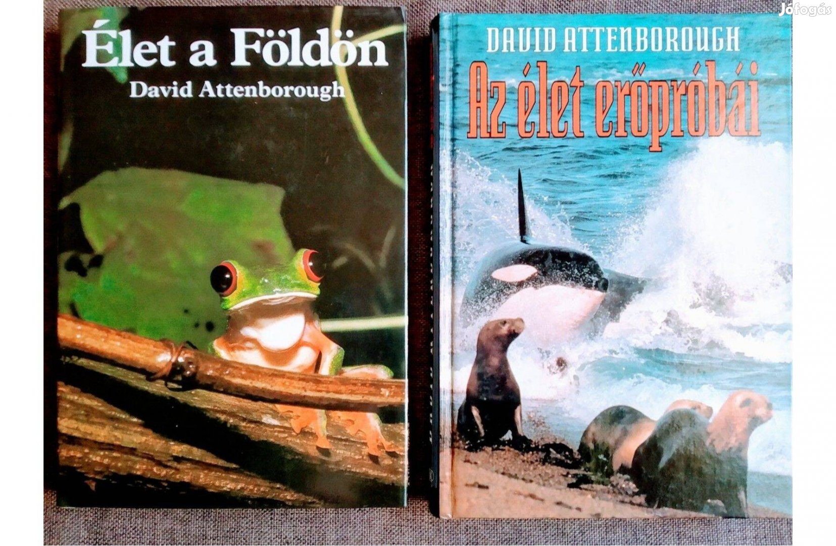 David Attenborough Élet A Földön Az Élet Erőpróbái