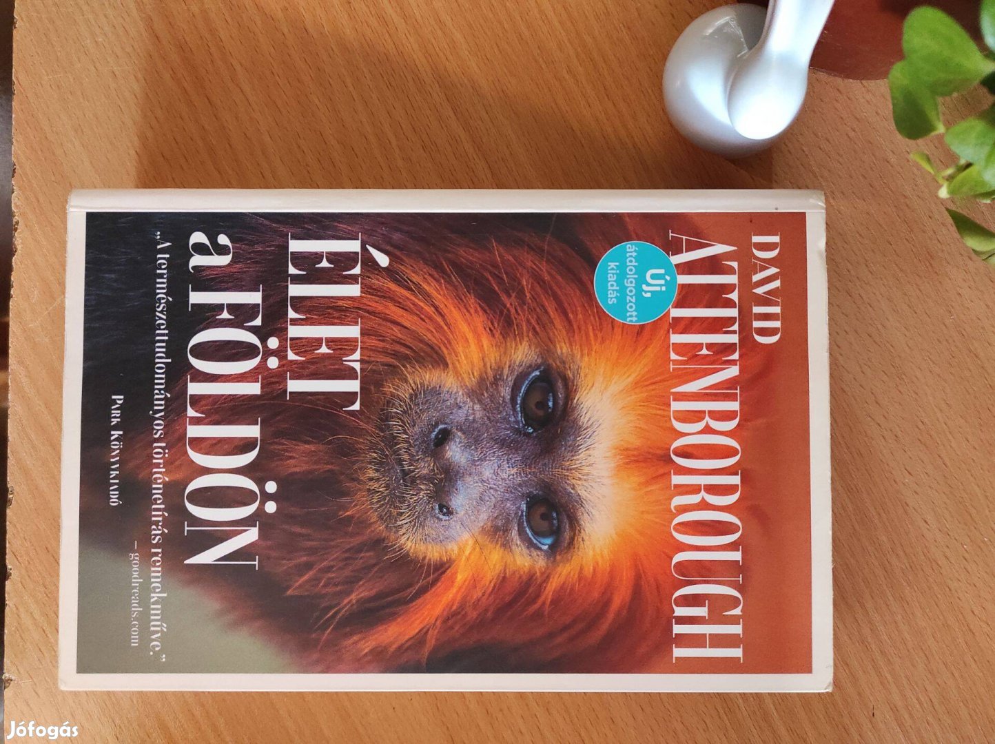 David Attenborough Élet a Földön könyv