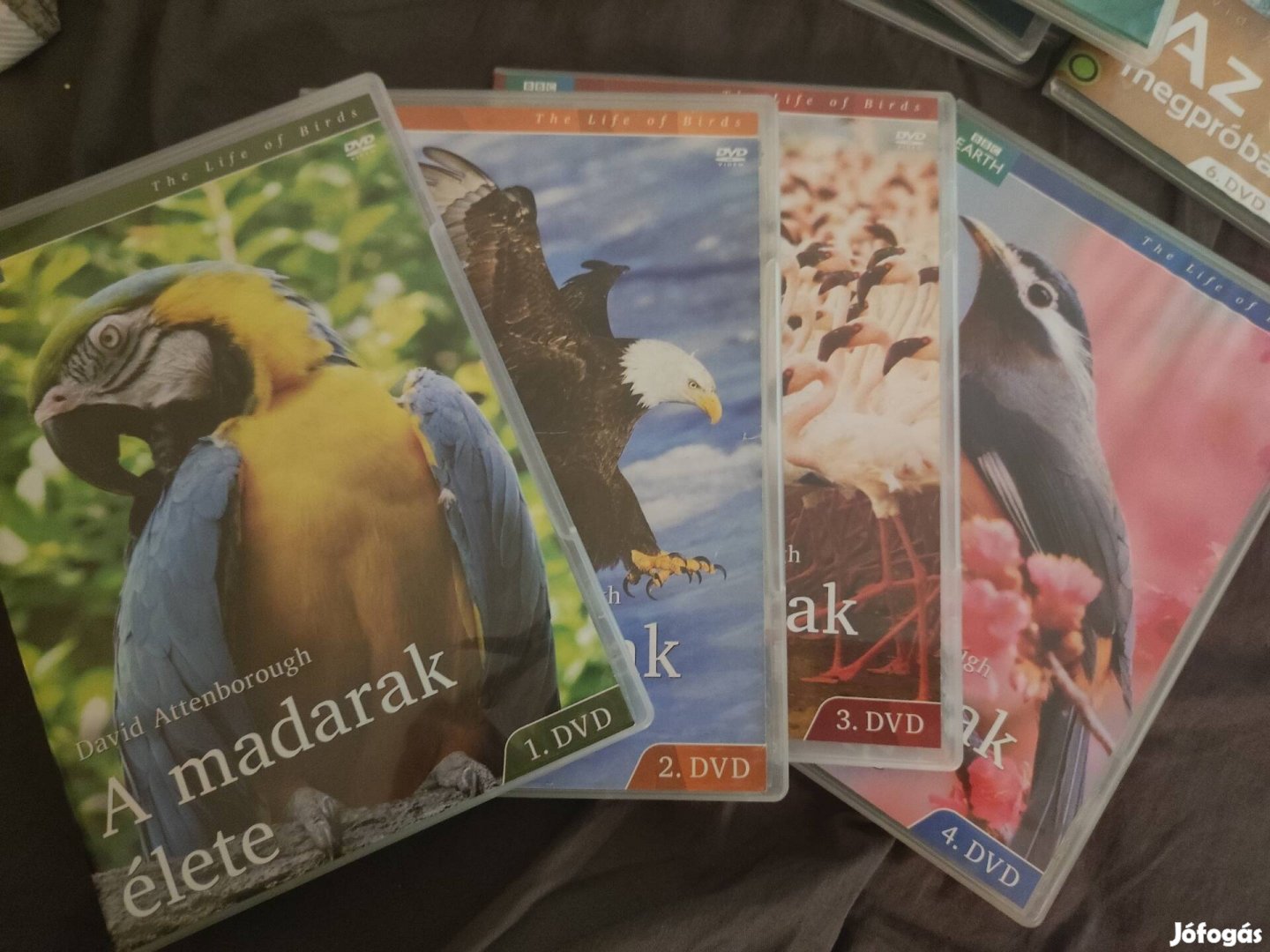 David Attenborough természetfilm szett A madarak élete DVD