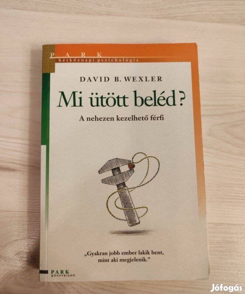 David B. Wexler: Mi ütött beléd? - A nehezen kezelhető férfi c. könyv